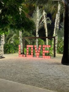 Wedding at Secret Gardens 9 2e7ba5ea e368 46cc b4e3 4354cde26c9f